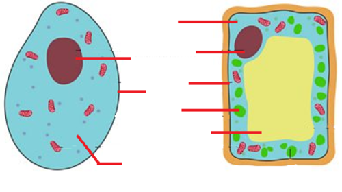Diagram (500×500 expected)